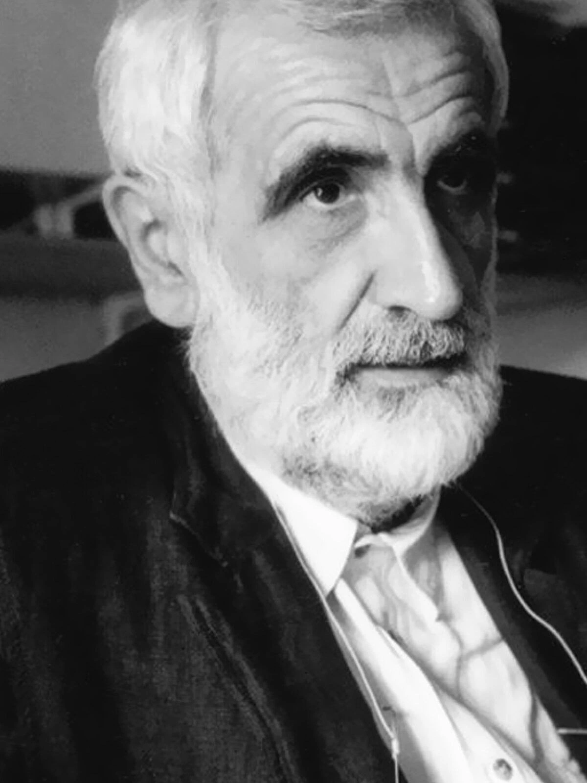 Enzo Mari