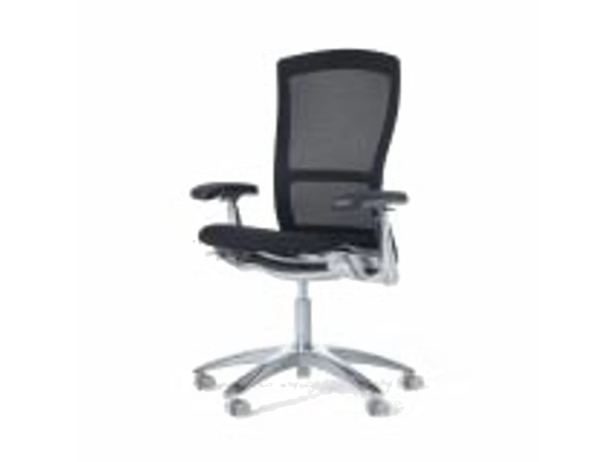 Life ® Formway &nbsp;2002
