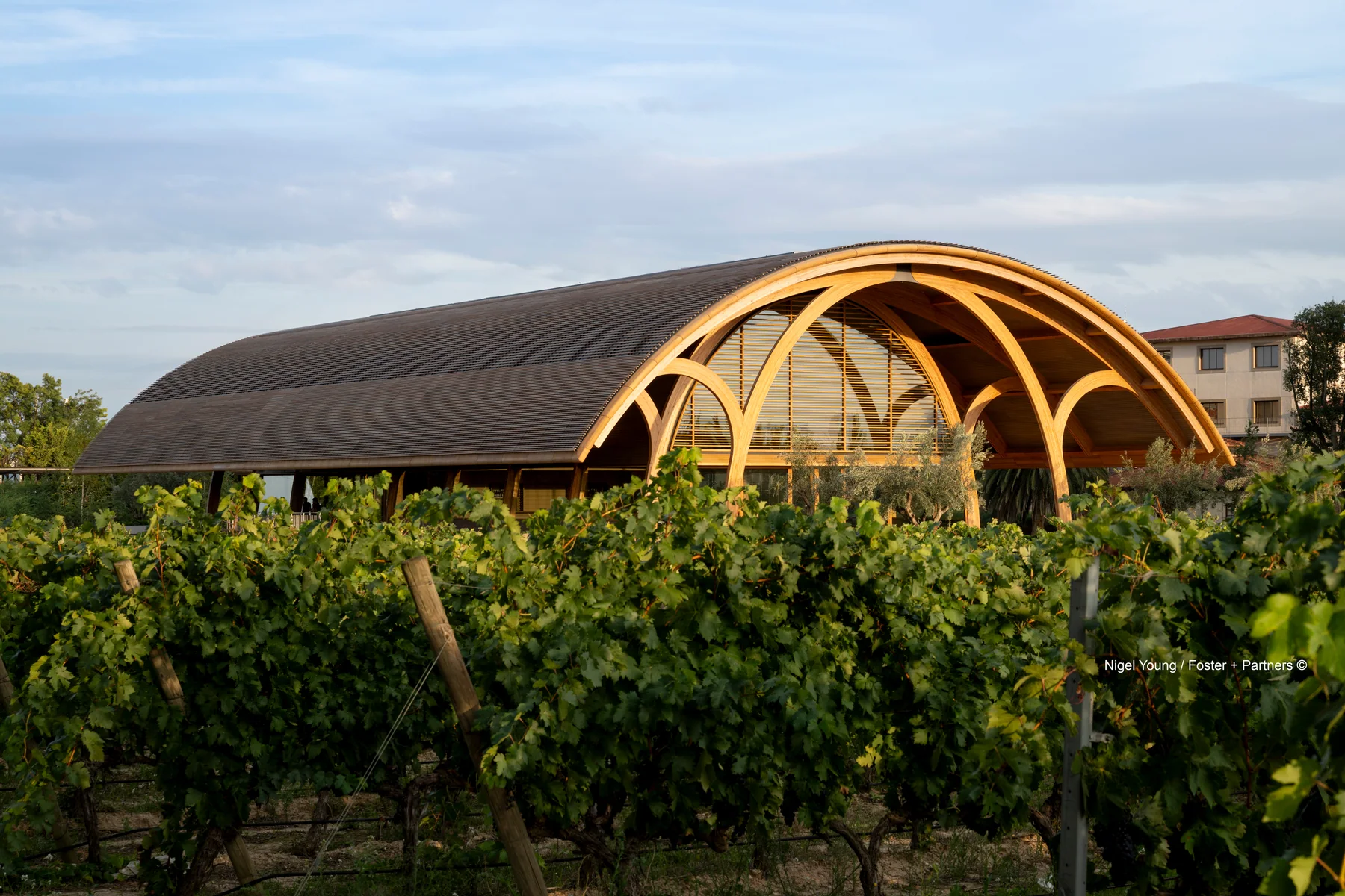 Bodegas Faustino