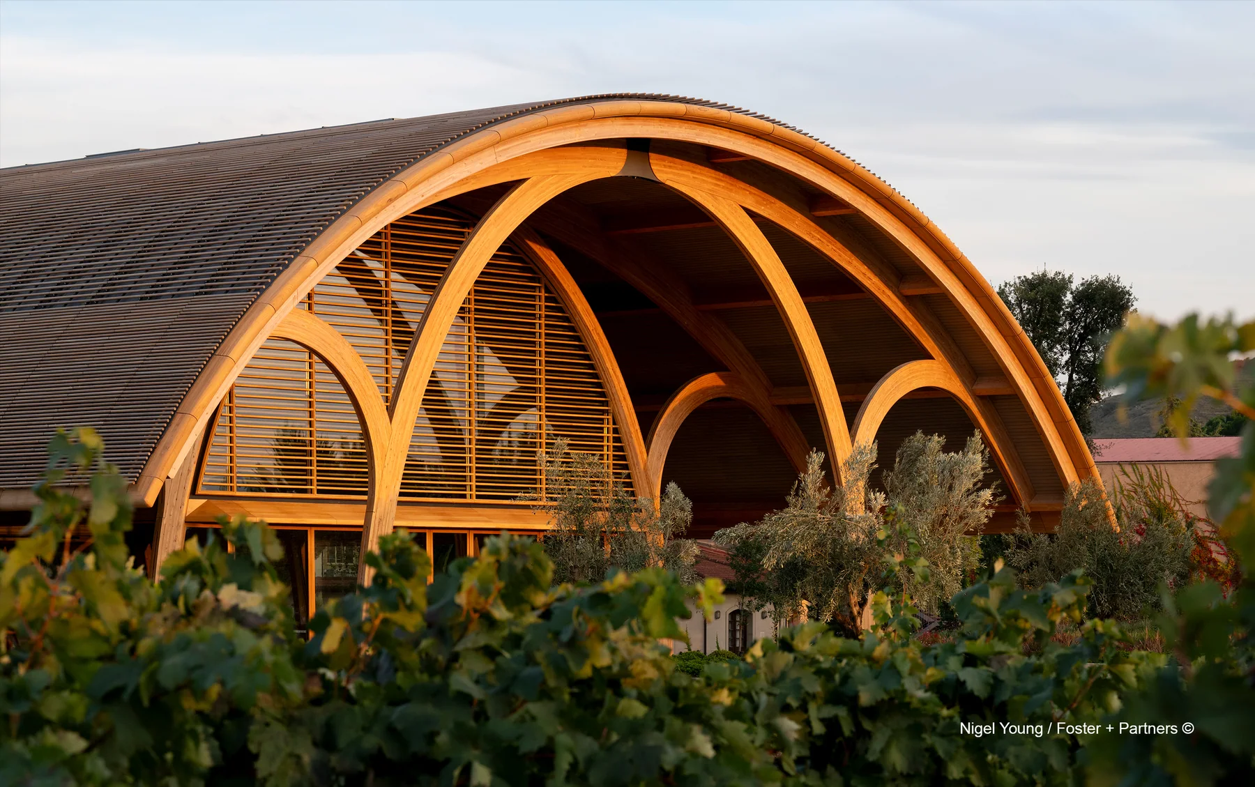 Bodegas Faustino